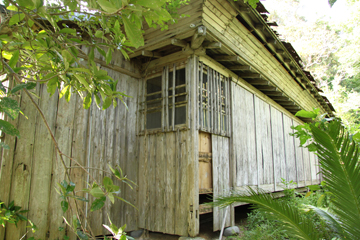 e0041337_1246233.jpg