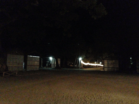 e0203037_146394.gif