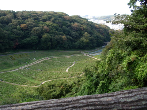 c0097838_16113347.jpg