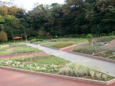 c0097838_17334244.jpg