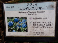 c0097838_17373592.jpg