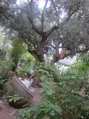 e0120938_21233248.jpg