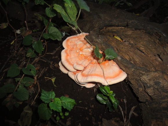 c0206739_21535521.jpg