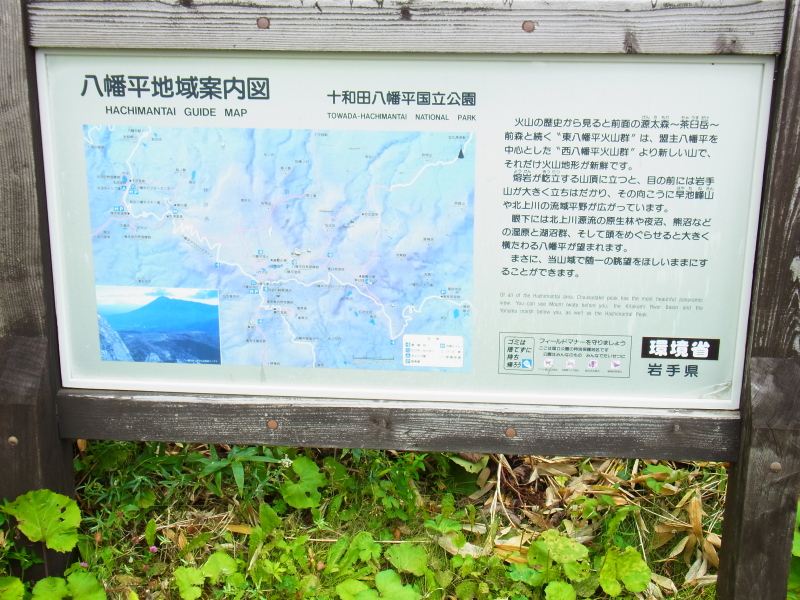 b0190242_19532532.jpg