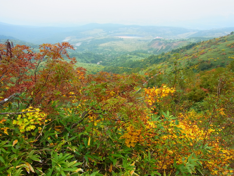 b0190242_19535225.jpg