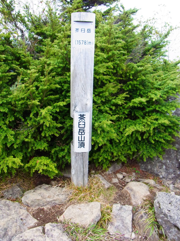 b0190242_1955375.jpg