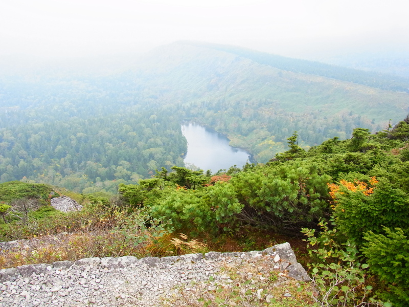 b0190242_19555489.jpg