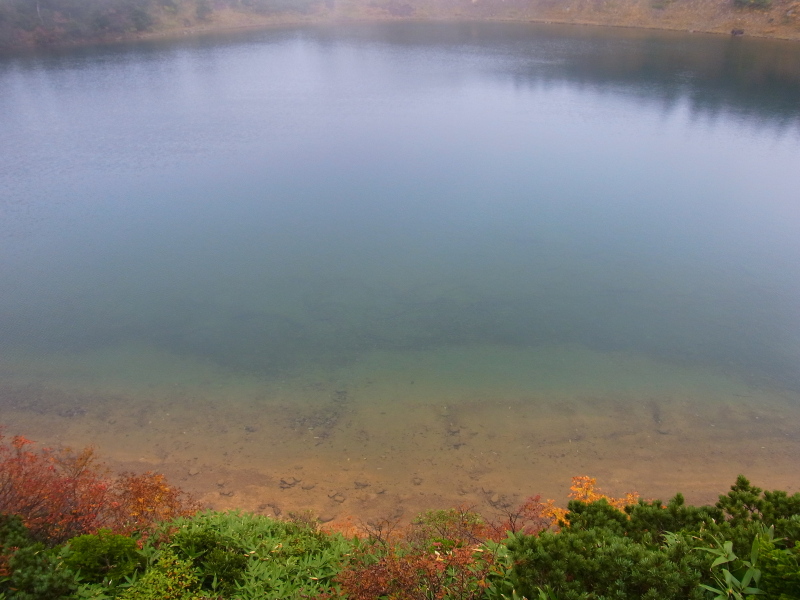 b0190242_2002014.jpg