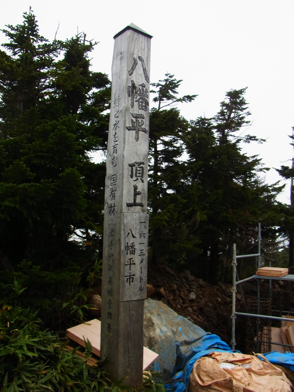 b0190242_200415.jpg