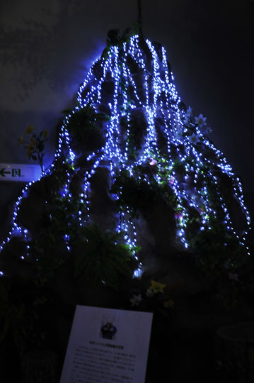 c0093046_1746217.jpg
