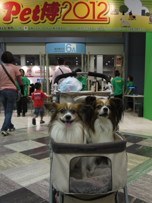 e0100046_2053678.jpg