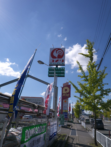 カレーのチャンピオン全店制覇の旅　第2回 婦中店_b0058548_9453254.jpg