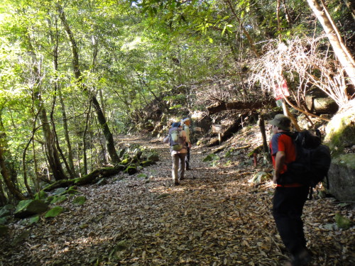 c0179351_9551499.jpg