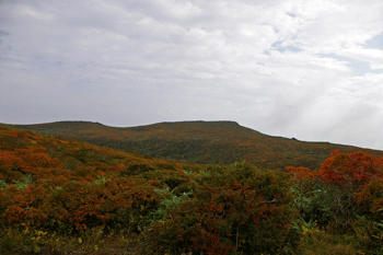 栗駒山の紅葉狩り（2012.10.7）_a0044453_11431284.gif