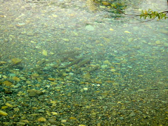 a0073053_19334427.jpg