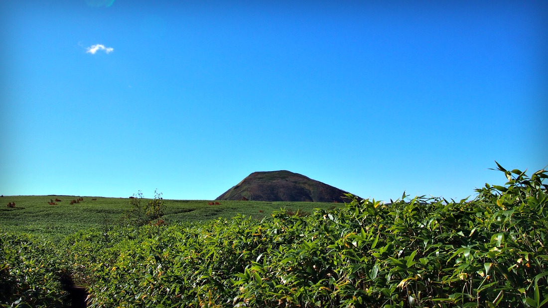 2012.10.8_余市岳_e0105954_956044.jpg