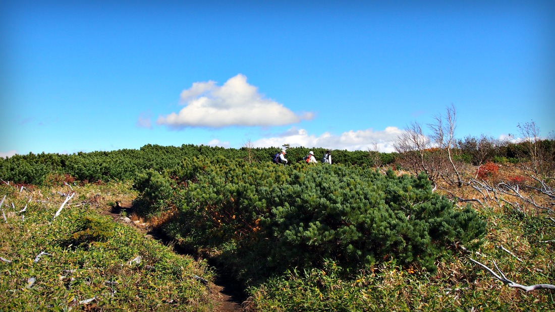 2012.10.8_余市岳_e0105954_9565732.jpg