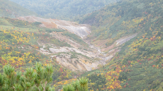 c0116856_20565100.jpg