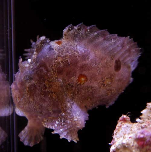c0165758_204932.jpg