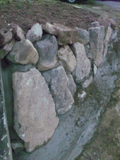 e0081959_814369.jpg