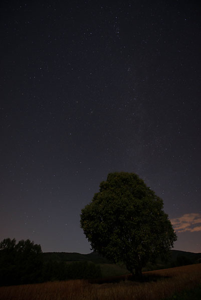 e0083559_22161168.jpg
