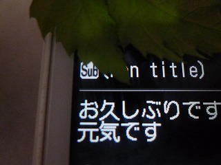 a0165160_8102230.jpg