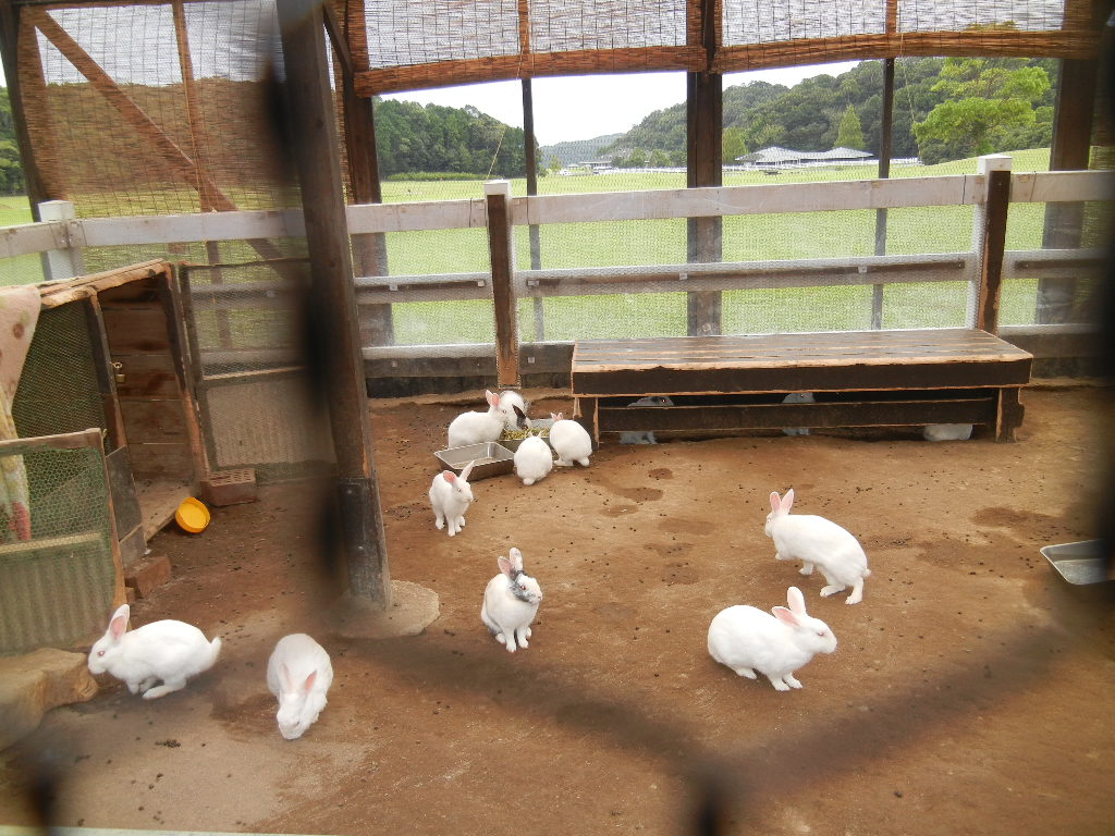 ’12,10,9(火)深まりゆく秋!_f0060461_15512069.jpg