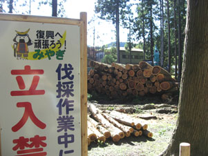 c0084862_2205269.jpg