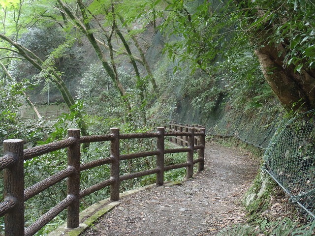 b0044663_20392549.jpg