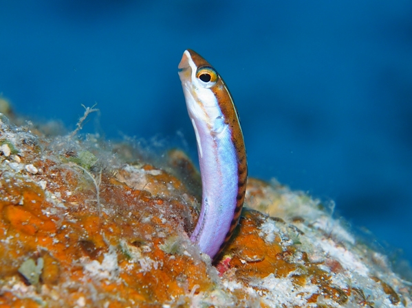 b0138768_23591070.jpg