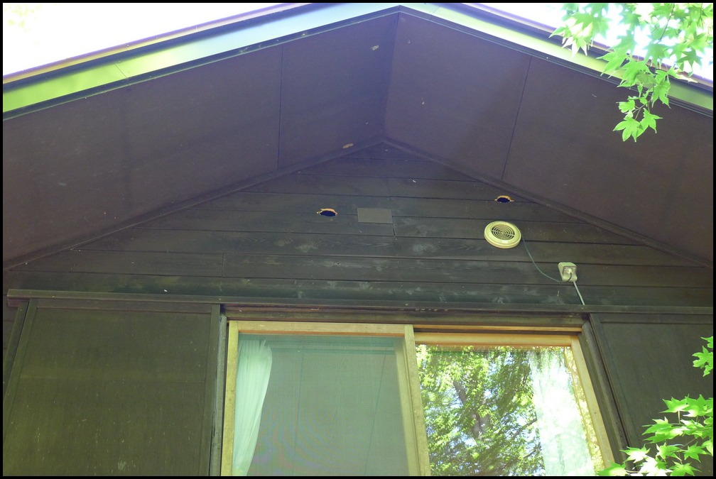 c0084268_758970.jpg