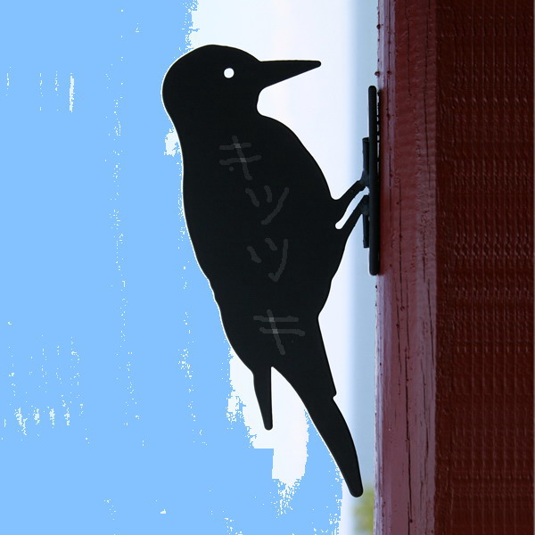 c0084268_974256.jpg