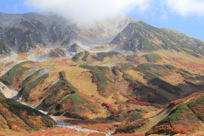 10月8日　弥陀ヶ原～八郎坂～称名_f0223068_13335951.jpg