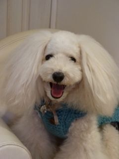 2012.10.9 撮影会_a0083571_1251894.jpg
