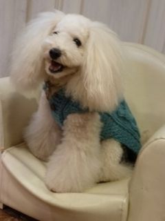 2012.10.9 撮影会_a0083571_12533822.jpg