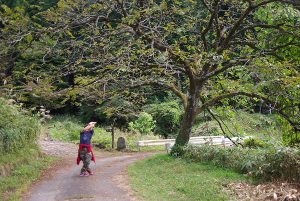 JOJO立ちの旅at馬籠_e0182473_15543760.jpg