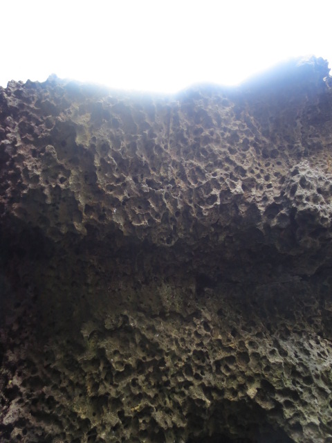 e0212073_16174886.jpg