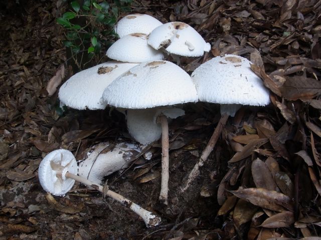a0289776_23211172.jpg
