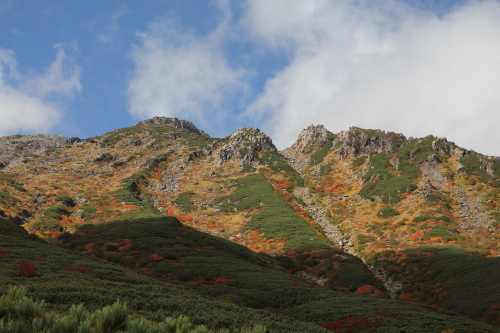 c0054876_16402814.jpg