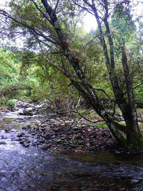 d0054076_9264314.jpg