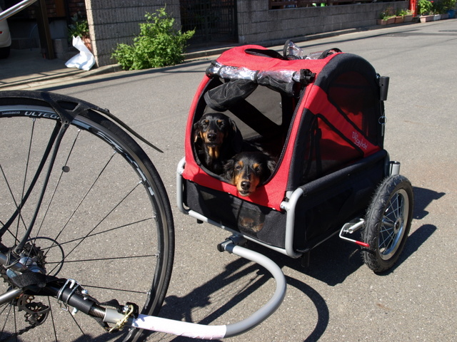 Dog bike trailer_d0059077_15403.jpg