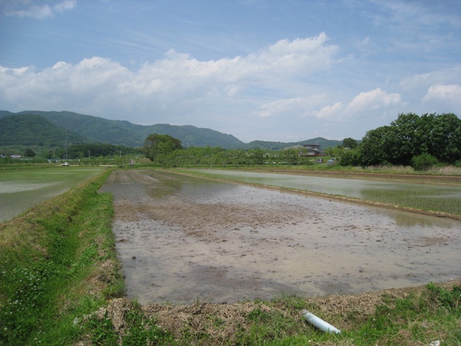 阿津賀志山防塁第11次発掘調査現地説明会(高橋地区)⑥_a0087378_3285982.jpg