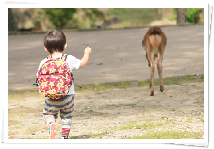 奈良公園へ行って来ました_a0197680_9452152.jpg