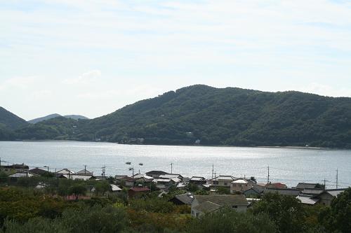 e0061785_1255286.jpg