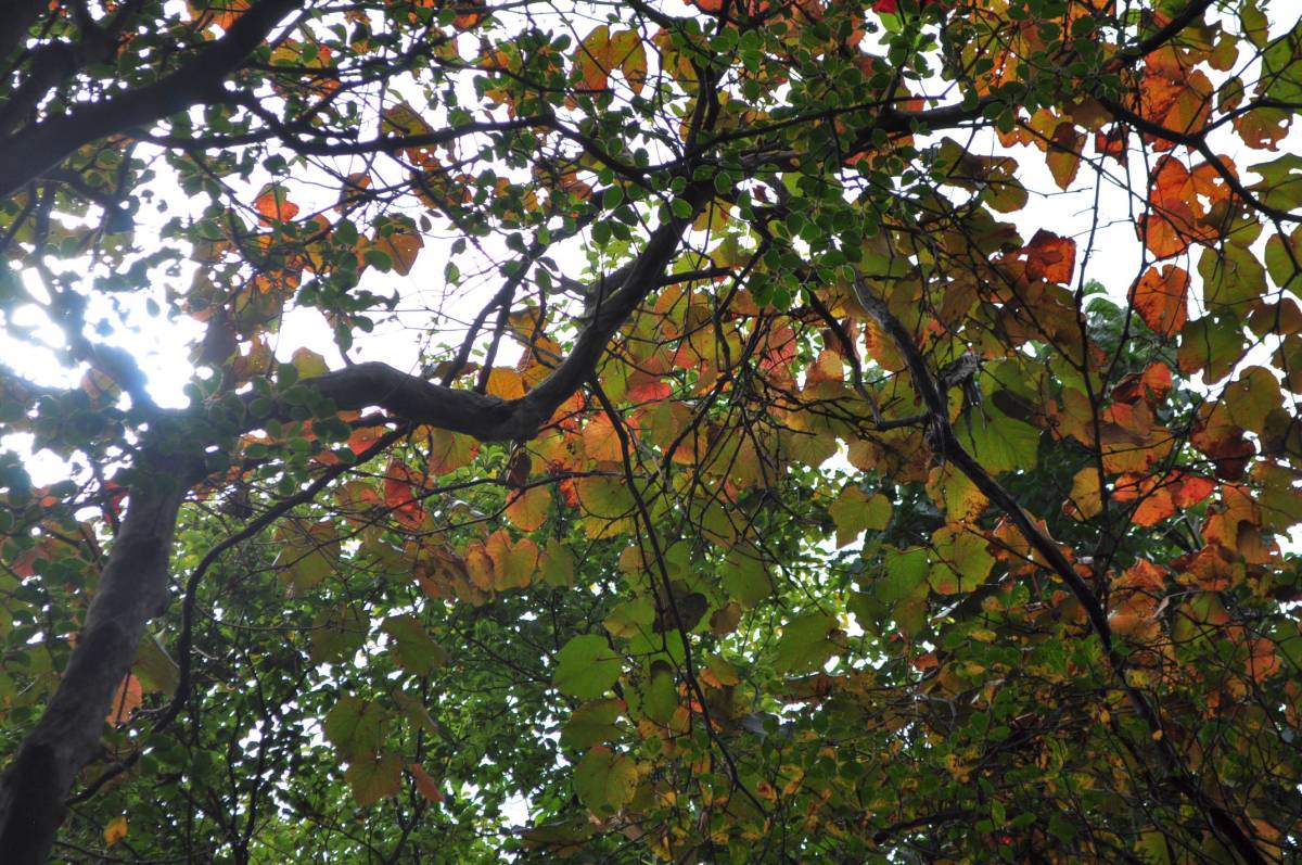 a0011690_23523534.jpg