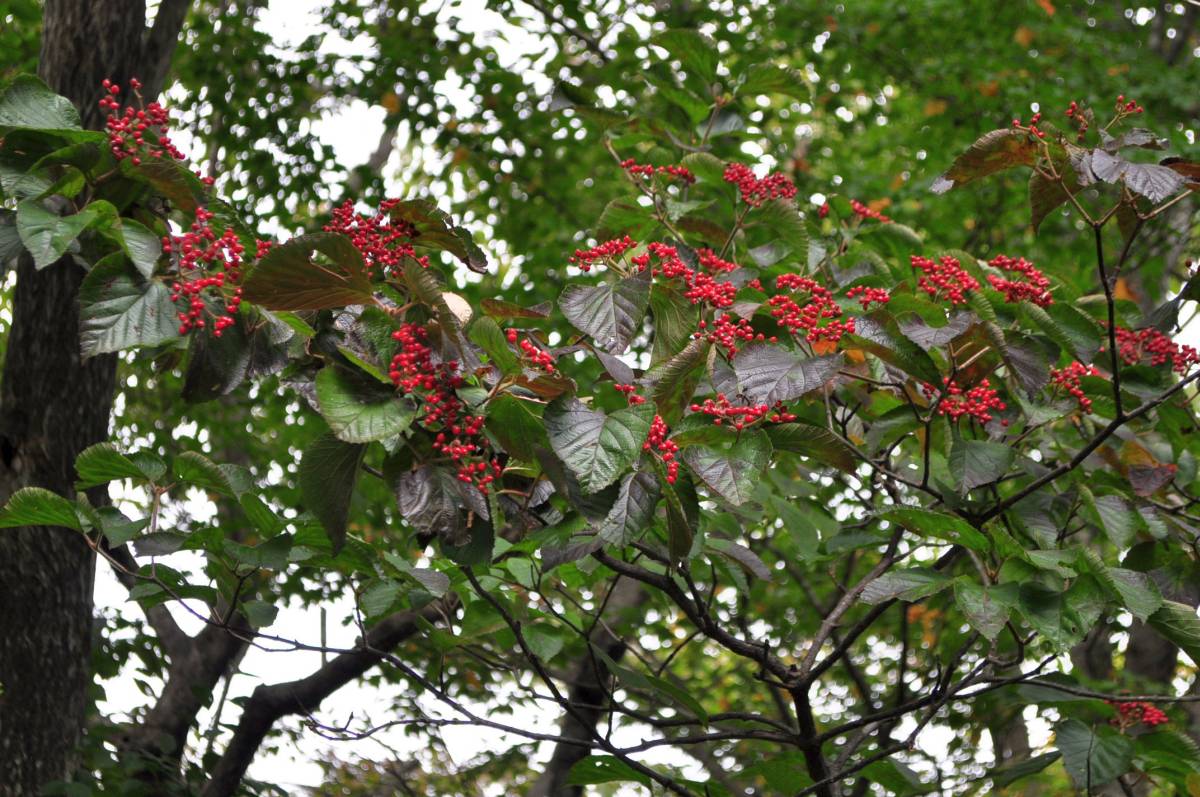 a0011690_23533987.jpg