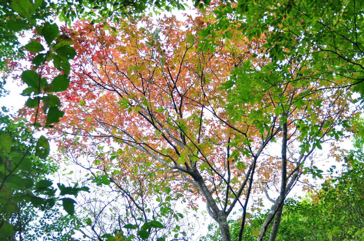 a0011690_23535867.jpg