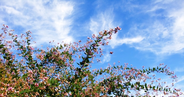 f0212993_9334398.jpg