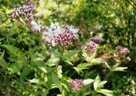 f0212993_9425615.jpg