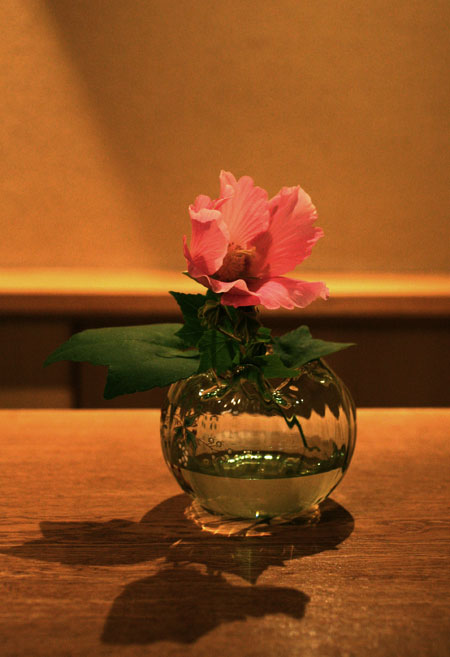 芸術の秋、花瓶にお花を挿していただきました。_c0108595_20592539.jpg